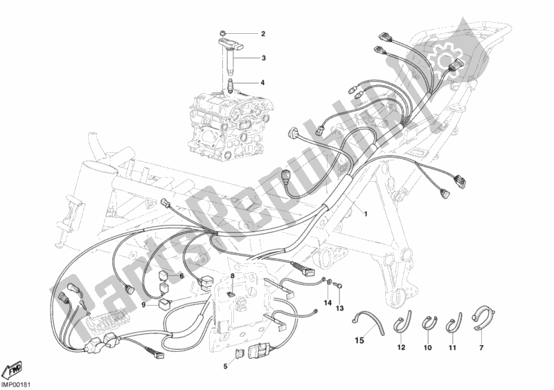 Alle onderdelen voor de Kabelboom van de Ducati Superbike 999 S 2004